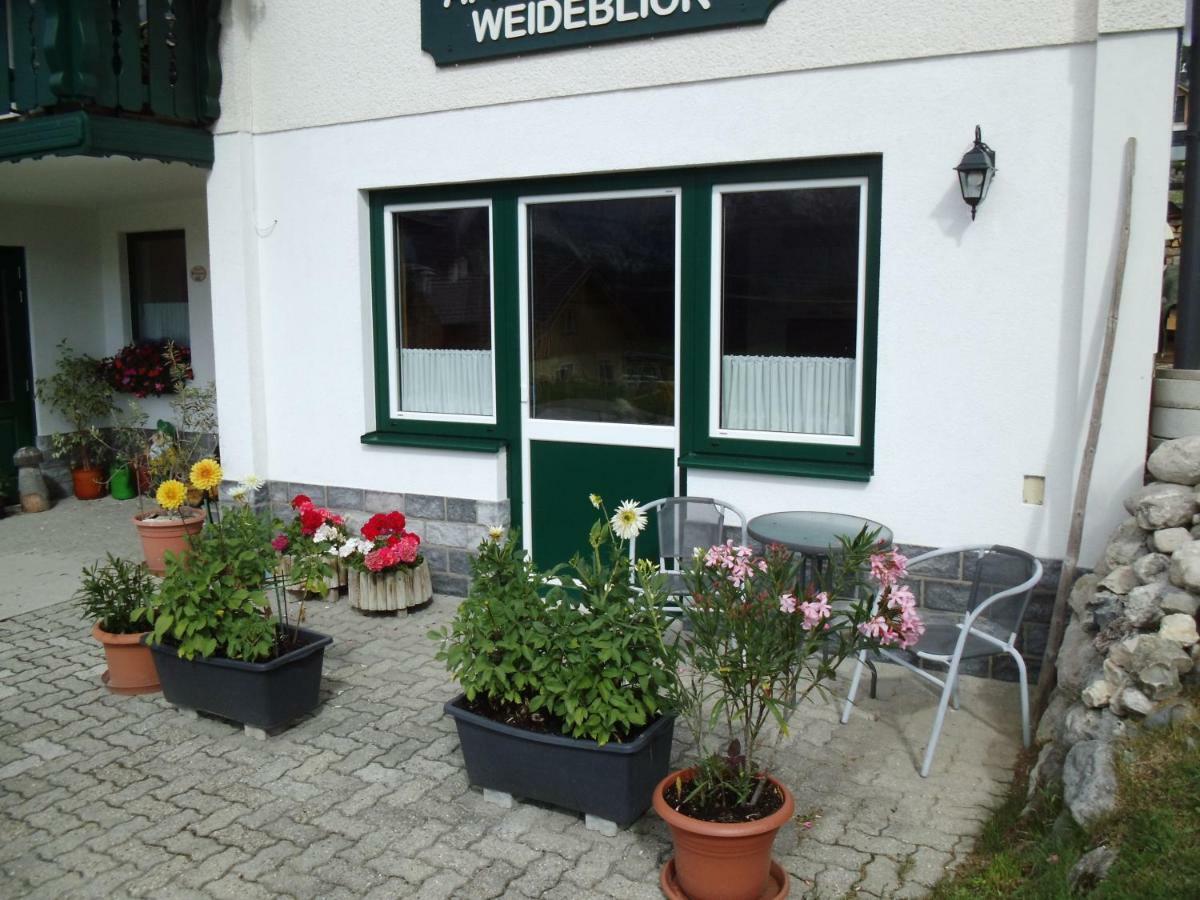 Weideblick Apartment Tauplitz Ngoại thất bức ảnh